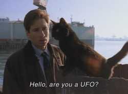 X+files+did+it+_ec8e285ab96d6e6aeeab160679e26c79.jpg