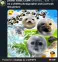Such+skill++_e8d02694900bb0546094314a1359f64a.jpg