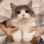 gatito pequeno.gif