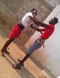 africandropseoi.webm