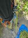 PXL_20260429_211030502.jpg