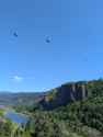 PXL_20260429_223119884.jpg