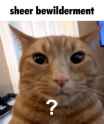 1682572769401926.png